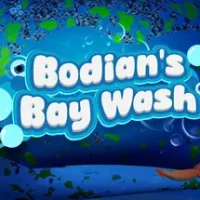 Bodian's Bay Wash trainer — featured cover