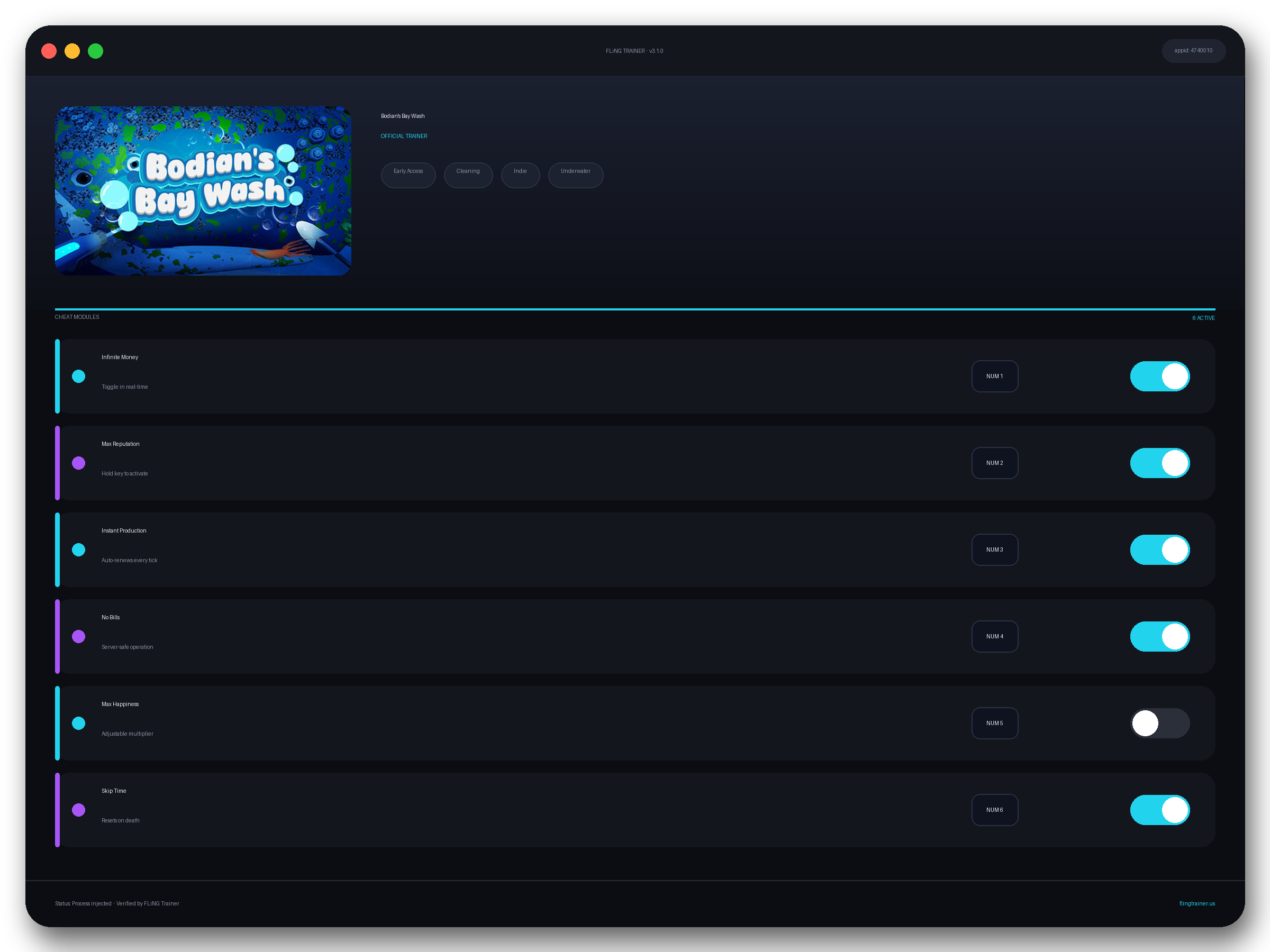 Bodian's Bay Wash Trainer interface