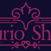 Curio Shop trainer — featured cover