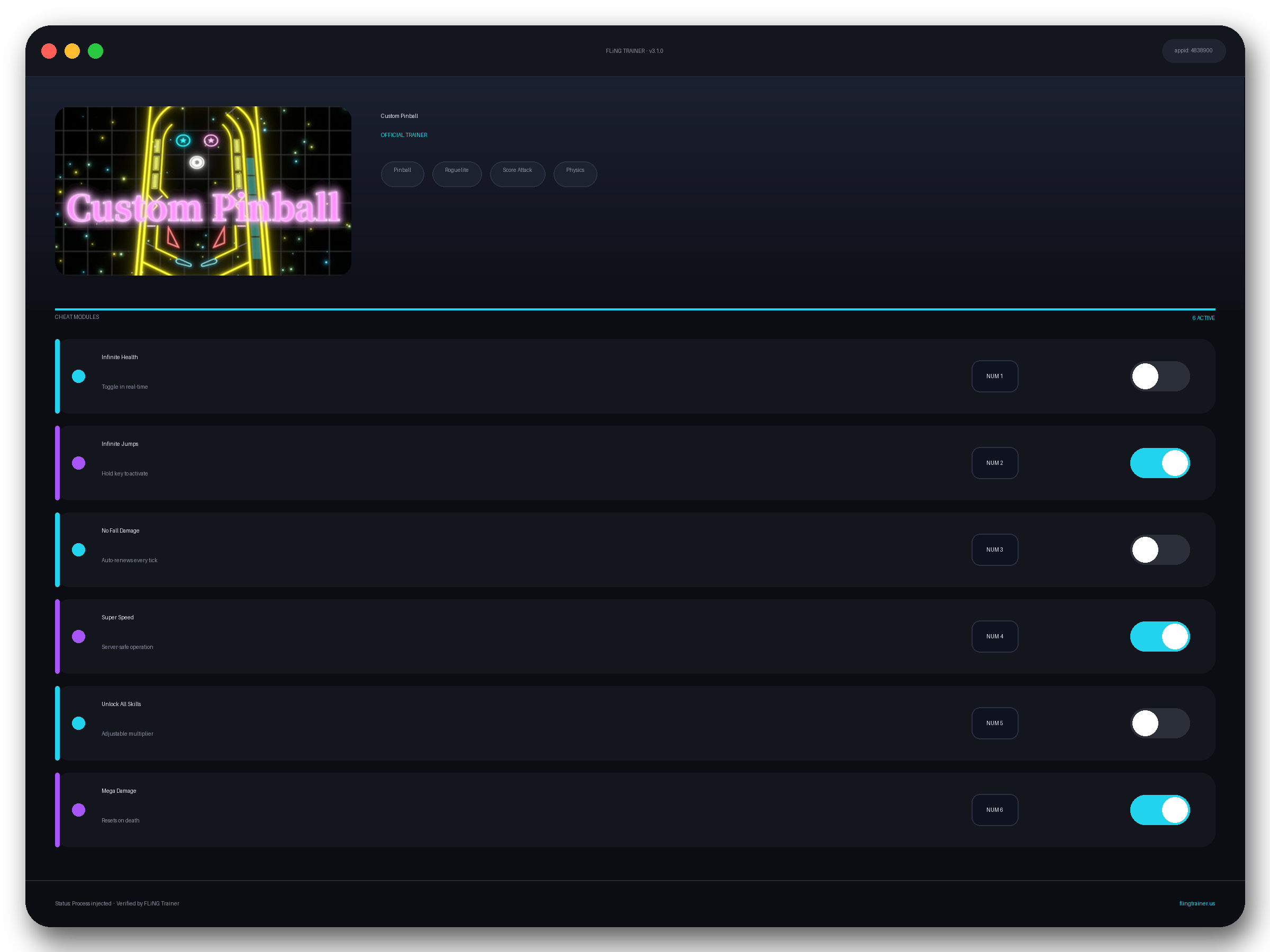 Custom Pinball Trainer interface