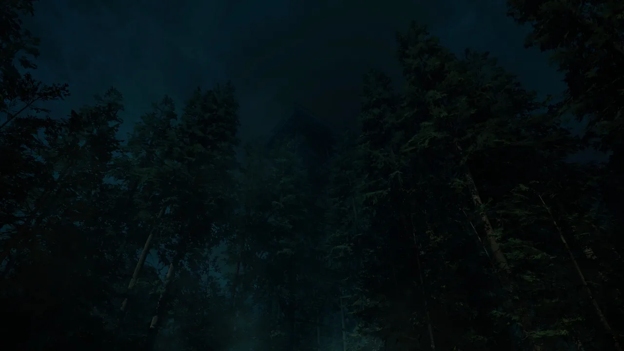 Forest Lookout — environment preview