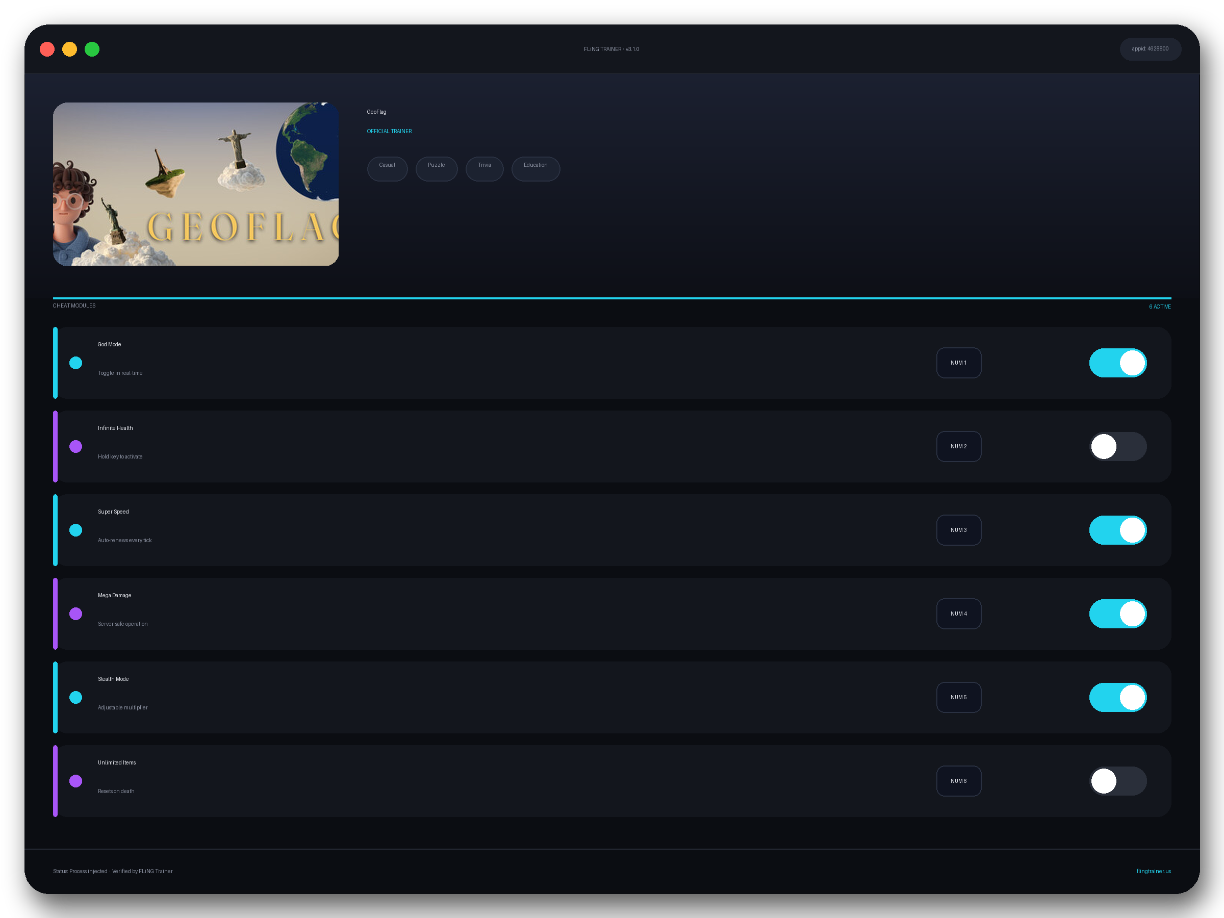GeoFlag Trainer interface