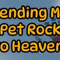 Sending my Pet Rock to Heaven trainer — featured cover