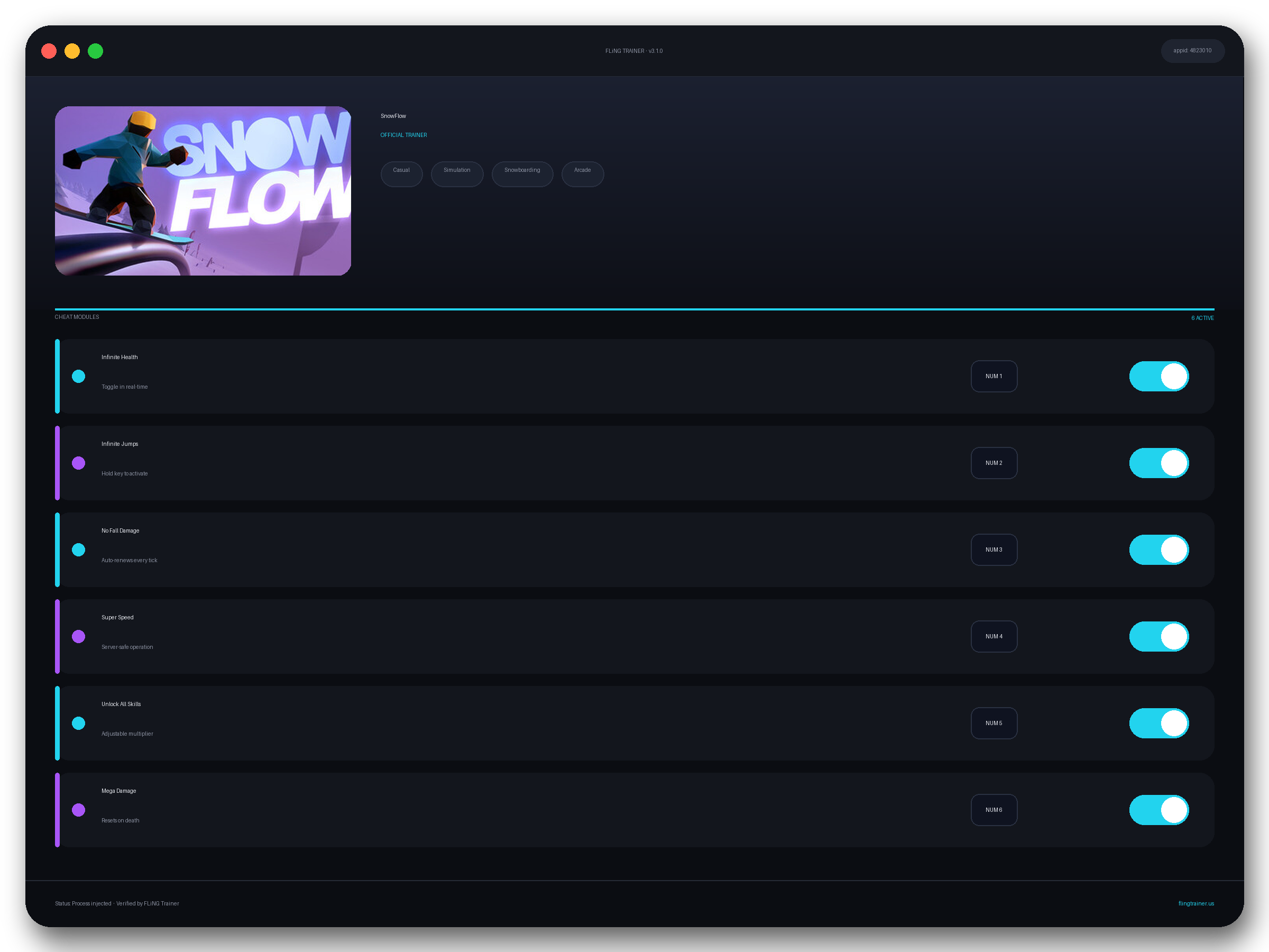 SnowFlow Trainer interface
