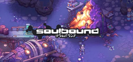 Soulbound: Online trainer — featured cover
