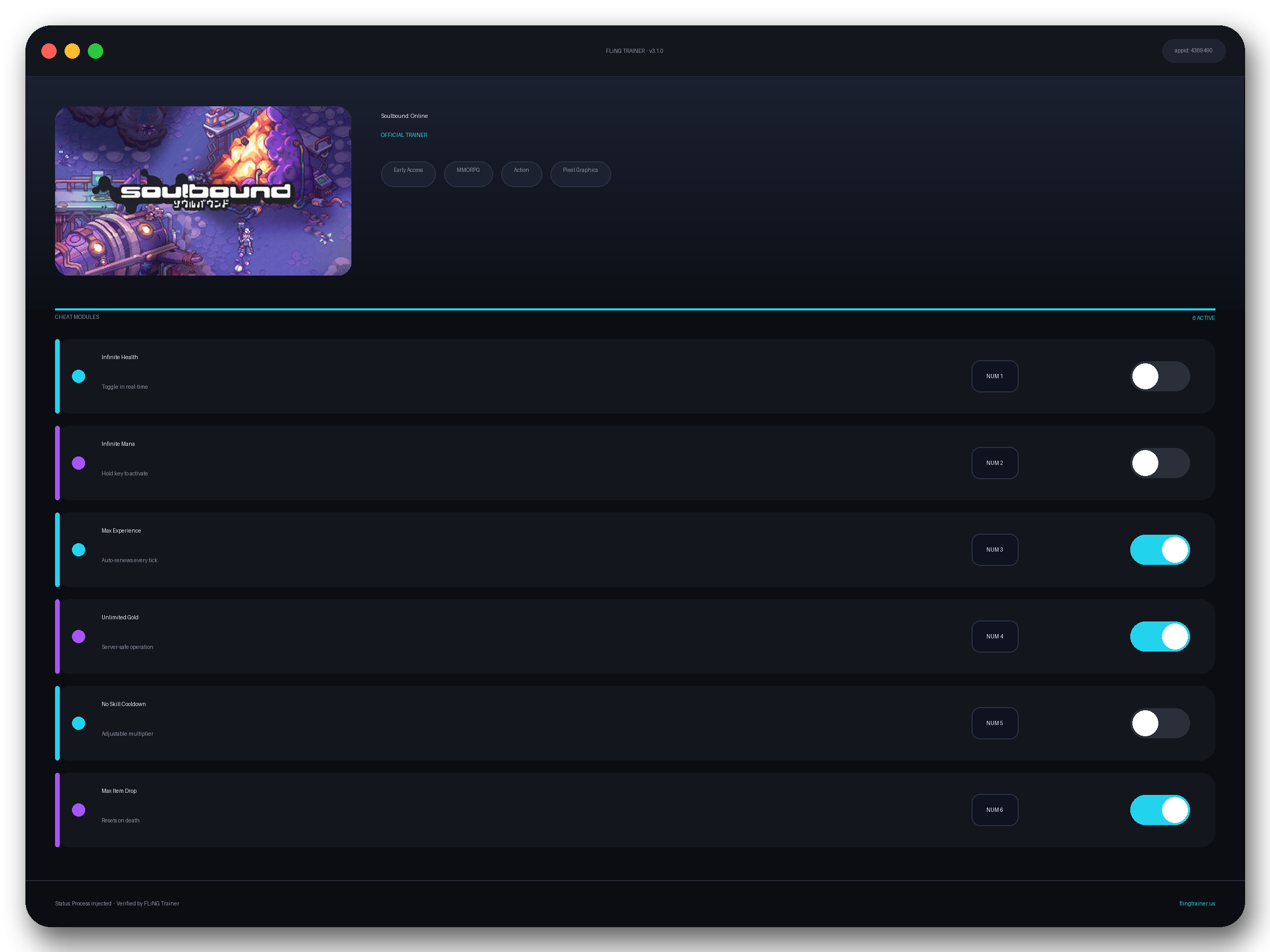 Soulbound: Online Trainer interface