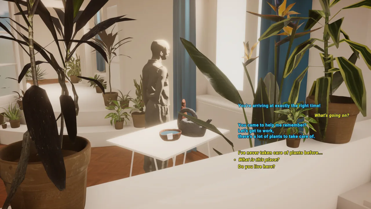 Plum Road Tea Dream — exploration snapshot