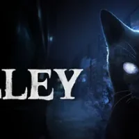 The Alley trainer — featured cover